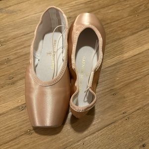 Gaynor Minden Pointe Shoes, Custom Cappucino Satin SK-9N3+FDL